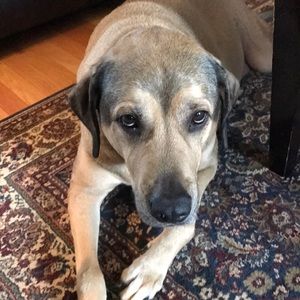 Meet your Posher, Carolyn